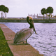 Spot metering. (look at the white on the pelican’s back in this shot vs. the previous one)